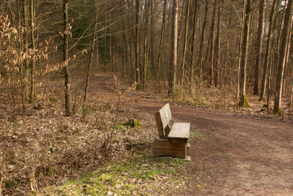 Holz-Parkbank im Wald